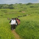 טיול ג'יפים ברמת הגולן באביב