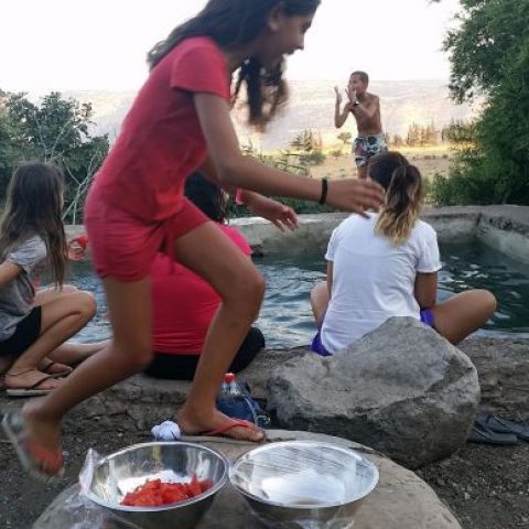 טיול גיפים מסלול מעיינות בגולן